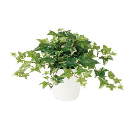 【人工観葉植物】東花/Stylish Green セージアイビー/99214