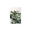 特価◎【直送】【人工観葉植物】東花/Stylish Green セブリナ/91490 ※返品・代引・キャンセル不可