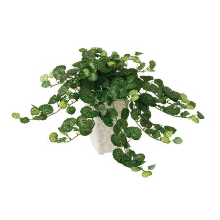 【人工観葉植物】東花/Stylish Green サキシフラガブッシュ/99187