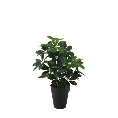 特価◎【直送】【人工観葉植物】東花/Stylish Green グリーンカポック M/99460 ※返品・代引・キャンセル不可