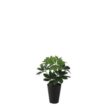 【人工観葉植物】東花/Stylish Green グリーンカポック S/99461