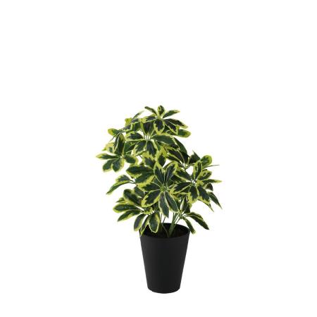 特価◎【直送】【人工観葉植物】東花/Stylish Green イエローカポック M/99462 ※返品・代引・キャンセル不可