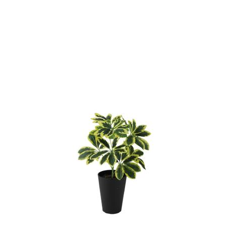特価◎【直送】【人工観葉植物】東花/Stylish Green イエローカポック S/99463 ※返品・代引・キャンセル不可