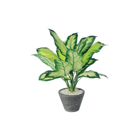 【人工観葉植物】東花/Stylish Green ディフェンバギアカミーラ/91459