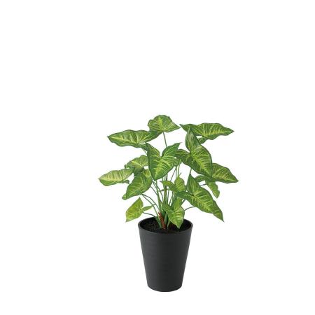 特価◎【直送】【人工観葉植物】東花/Stylish Green シンゴニウム/91661 ※返品・代引・キャンセル不可