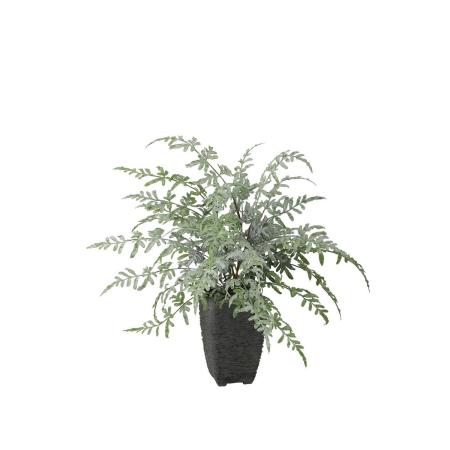 【人工観葉植物】東花/Stylish Green プテリス/99467