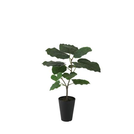 特価◎【直送】【人工観葉植物】東花/Stylish Green HQ ウンベラータ　ルーツポット/99475 ※返品・代引・キャンセル不可