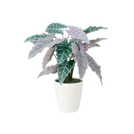 【人工観葉植物】東花/Stylish Green アローカシア/91518