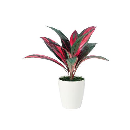 【人工観葉植物】東花/Stylish Green レインボーテルミナリス/91513