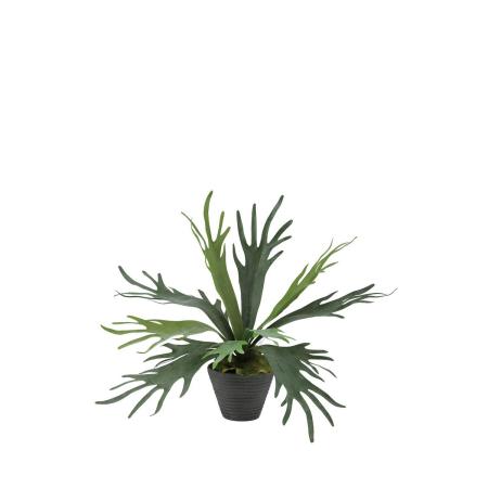特価◎【直送】【人工観葉植物】東花/Stylish Green コウモリラン/99435 ※返品・代引・キャンセル不可