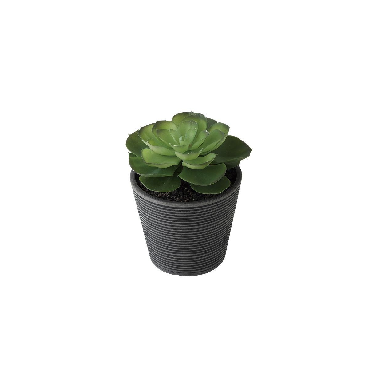 特価◎【直送】【人工観葉植物】東花/Stylish Green エケベリア ポット