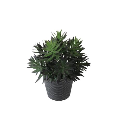 【人工観葉植物】東花/Stylish Green サッカレント ポット/99513