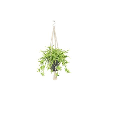【人工観葉植物】東花/Stylish Green オリヅルラン G/Y/99547