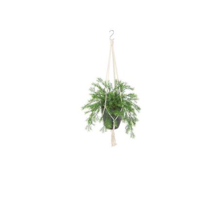 特価◎【直送】【人工観葉植物】東花/Stylish Green スプレンゲリー/99537 ※返品・代引・キャンセル不可
