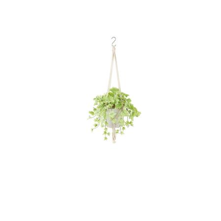 特価◎【直送】【人工観葉植物】東花/Stylish Green ライムアイビー/99534 ※返品・代引・キャンセル不可