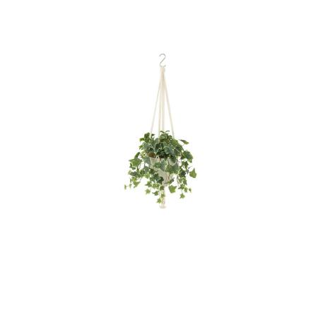 特価◎【直送】【人工観葉植物】東花/Stylish Green グレイシアアイビー/99535 ※返品・代引・キャンセル不可