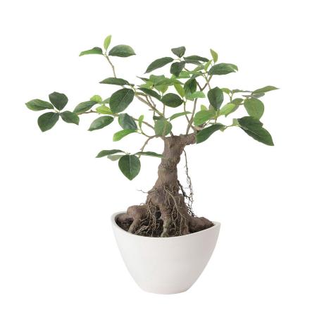 特価◎【直送】【人工観葉植物】東花/Stylish Green ガジュマル ボウル/99524 ※返品・代引・キャンセル不可