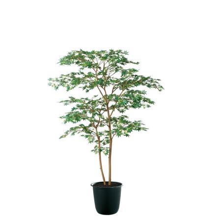 特価◎【直送】【人工観葉植物】東花/Stylish Green ヤマモミジ株立 GREEN FST/91764 ※返品・個人宅配送不可