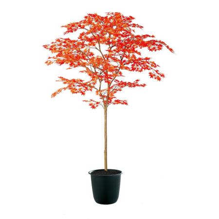 特価◎【直送】【人工観葉植物】東花/Stylish Green ヤマモミジ RED FST/91768 ※返品・個人宅配送不可