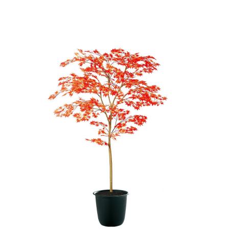 特価◎【直送】【人工観葉植物】東花/Stylish Green ヤマモミジ RED FST/91769 ※返品・代引・キャンセル不可