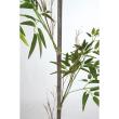 特価◎【直送】【人工観葉植物】東花/Stylish Green 黒竹1本立/99225 ※返品・個人宅配送不可