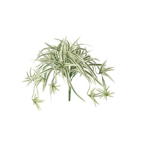 特価◎【直送】【造花】東花/Stylish Green オリヅルラン W/G/91835 ※返品・代引・キャンセル不可