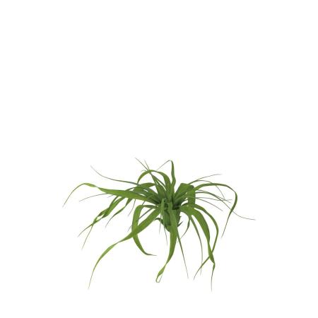 特価◎【直送】【造花】東花/Stylish Green チランジア M/99426 ※返品・代引・キャンセル不可