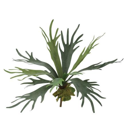 特価◎【直送】【造花】東花/Stylish Green コウモリラン/99423 ※返品・代引・キャンセル不可