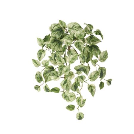 特価◎【直送】【造花】東花/Stylish Green マーブルポトス/99310 ※返品・代引・キャンセル不可