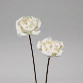 ハンドメイドフラワー】ソラフラワーステムタイプ7 PEONY B 2本