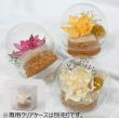 特価◎OrangeDeco/ガラスドーム 8cm/KJ0K2749
