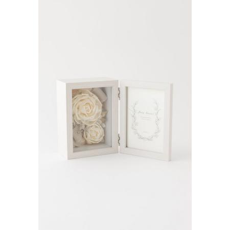 特価◎OrangeDeco/トランスペアレント M NC/F-3520