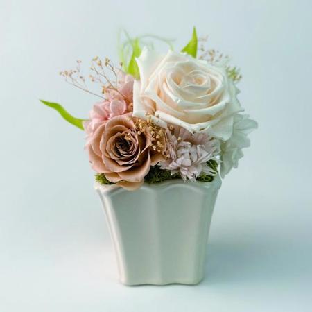 特価◎【プリザーブド】OrangeDeco/Cefiro S CRBG/KJ0F6212