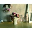 特価◎【プリザーブド】OrangeDeco/Moco PKBE/KJ0F6267