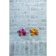 特価◎【プリザーブド】OrangeDeco/Sautille BL/KJ0F6121