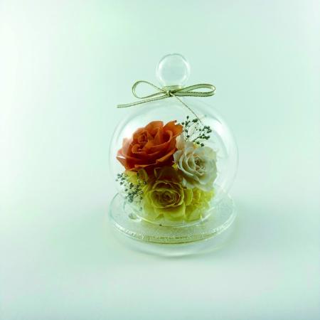 特価◎【プリザーブド】OrangeDeco/Reve OR/KJ0F6098