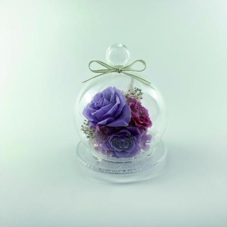 特価◎【プリザーブド】OrangeDeco/Reve PU/KJ0F6100