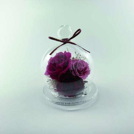 特価◎【プリザーブド】OrangeDeco/Reve RE/KJ0F6096