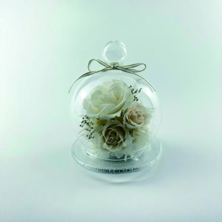 特価◎【プリザーブド】OrangeDeco/Reve WH/KJ0F6162