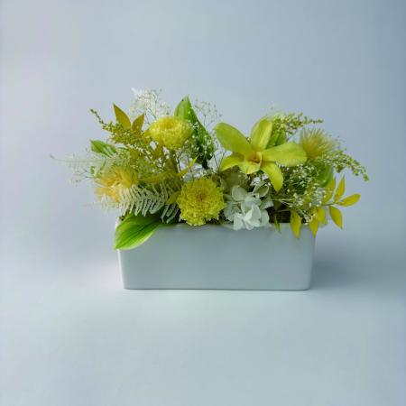 【プリザーブド】OrangeDeco/Fluffy square S YE/KJ0F6209