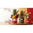 特価◎FourSeasons/迎春ペーパーカップ 獅子舞/PS-100G