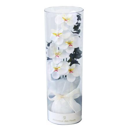 【ソープフラワー】アムール・デ・フルール/フルール・アン・ボトル・オーキッド L ホワイト/AM25OLW