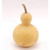ドライ】コアトレーディング/ひょうたん 1個 ナチュラル/18821 - 花材