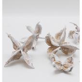 特価◎【ドライ】コアトレーディング/ワタカラ グレイッシュ/10629