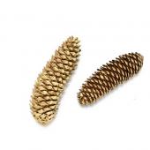 専用感謝Sale＊ドイツトウヒドライスワッグ＆コットンと木の実ドライボトル 専用感謝Sale＊ドイツトウヒドライスワッグ＆コットンと木の実ドライボトル