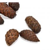 特価◎即日★【ドライ】コアトレーディング/ティカパッド・ファット ナチュラル/30361