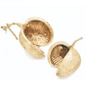 即日☆【ドライ】コアトレーディング/ブッダナッツ 2個 ナチュラル