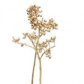 ドライ】コアトレーディング/ユーカリクラスターブランチ スチール