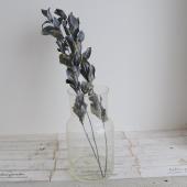 【ドライ】コアトレーディング/ルスカス スチールグレイ/10826