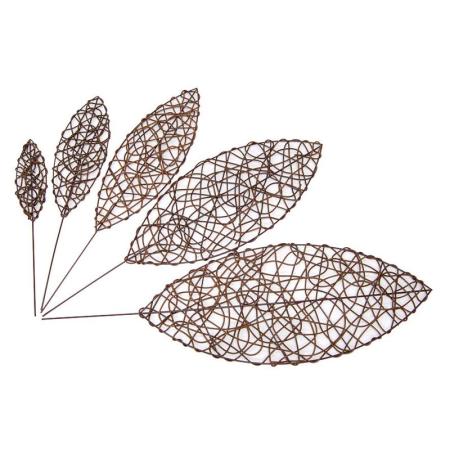 即日★【ドライ】コアトレーディング/ワイヤバイン・リーフ20 ブラウン/15832